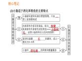 人教版七年级下册生物 4.2.2.2 营养物质的吸收 复习课件PPT