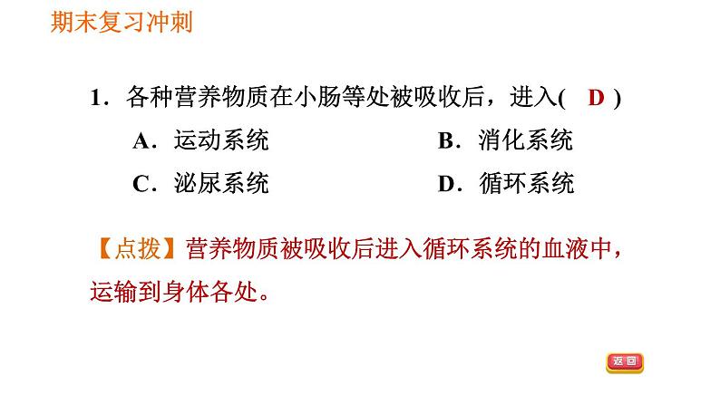 人教版七年级下册生物 4.2.2.2 营养物质的吸收 复习课件PPT07