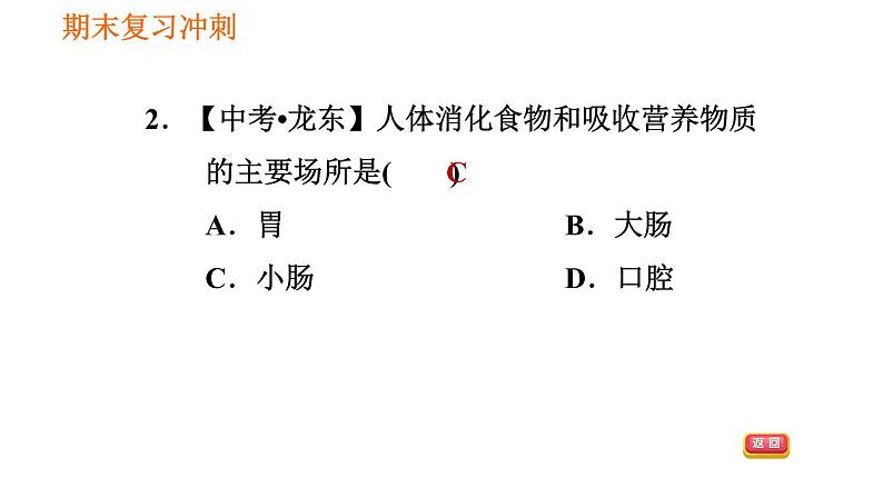 人教版七年级下册生物 4.2.2.2 营养物质的吸收 复习课件PPT08