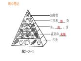 人教版七年级下册生物 4.2.3 合理营养与食品安全 复习课件PPT