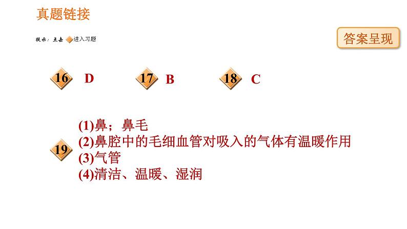 人教版七年级下册生物 4.3.1 呼吸道对空气的处理 复习课件PPT08