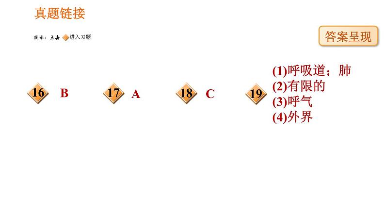 人教版七年级下册生物 4.3.2 发生在肺内的气体交换 复习课件PPT第8页