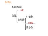 人教版七年级下册生物 4.4.1 流动的组织——血液 复习课件PPT