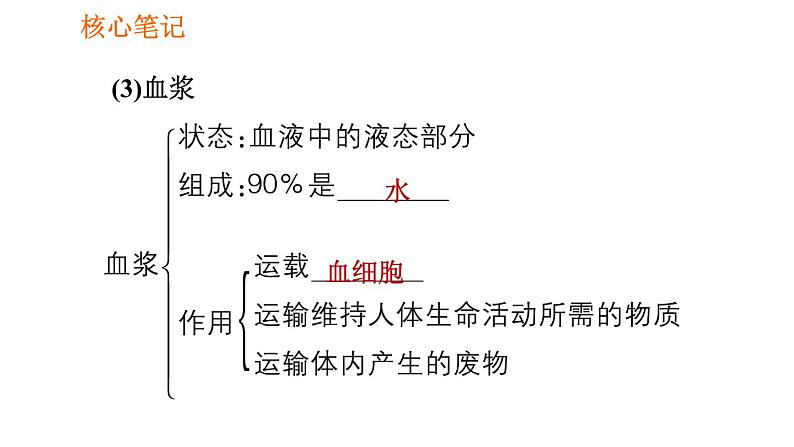 人教版七年级下册生物 4.4.1 流动的组织——血液 复习课件PPT04