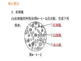 人教版七年级下册生物 4.4.1 流动的组织——血液 复习课件PPT