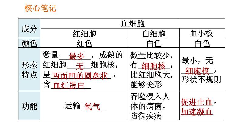 人教版七年级下册生物 4.4.1 流动的组织——血液 复习课件PPT06