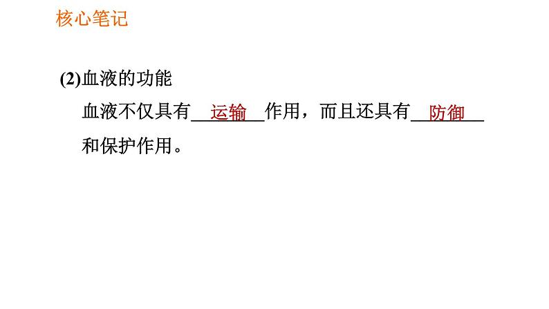 人教版七年级下册生物 4.4.1 流动的组织——血液 复习课件PPT07