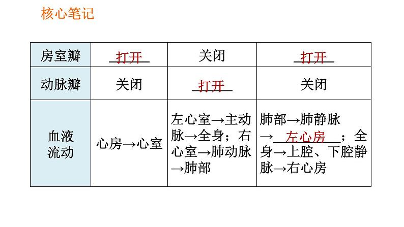 人教版七年级下册生物 4.4.3.1 心脏的结构和功能 课件 复习课件PPT06