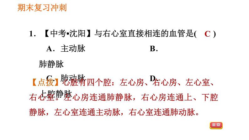 人教版七年级下册生物 4.4.3.1 心脏的结构和功能 课件 复习课件PPT08