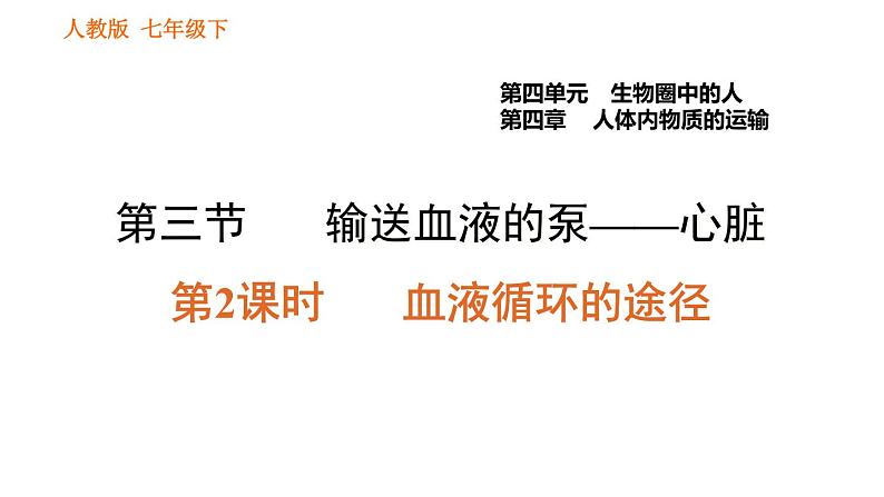 人教版七年级下册生物 4.4.3.2 血液循环的途径 课件 复习课件PPT01