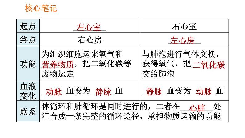 人教版七年级下册生物 4.4.3.2 血液循环的途径 课件 复习课件PPT03