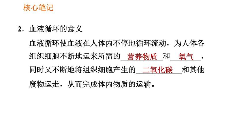 人教版七年级下册生物 4.4.3.2 血液循环的途径 课件 复习课件PPT05