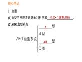 人教版七年级下册生物 4.4.4 输血与血型 复习课件PPT