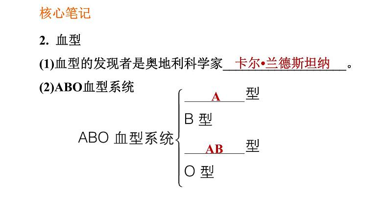 人教版七年级下册生物 4.4.4 输血与血型 复习课件PPT04