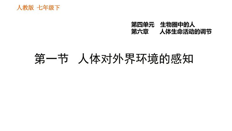 人教版七年级下册生物 4.6.1 人体对外界环境的感知 复习课件PPT01