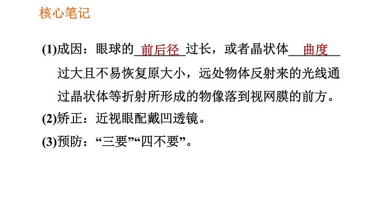 人教版七年级下册生物 4.6.1 人体对外界环境的感知 复习课件PPT06