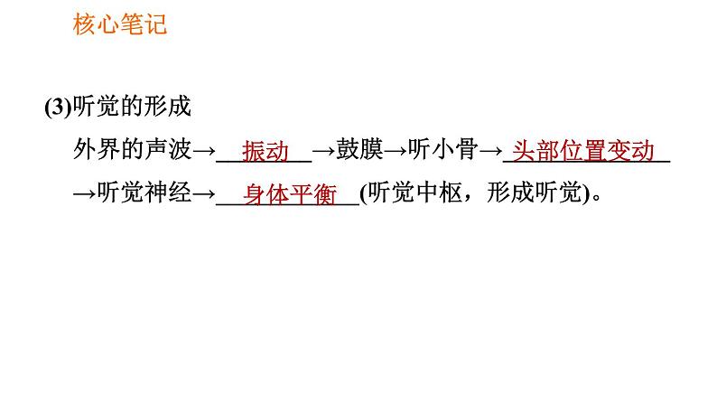 人教版七年级下册生物 4.6.1 人体对外界环境的感知 复习课件PPT08