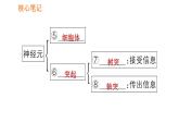 人教版七年级下册生物 4.6.2 神经系统的组成 复习课件PPT