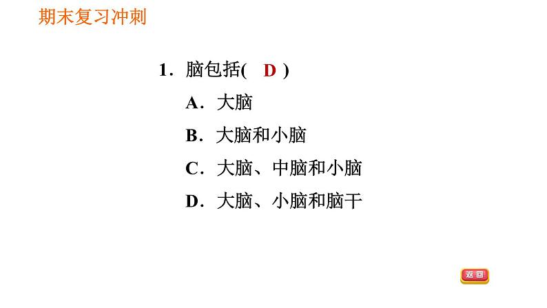 人教版七年级下册生物 4.6.2 神经系统的组成 复习课件PPT08