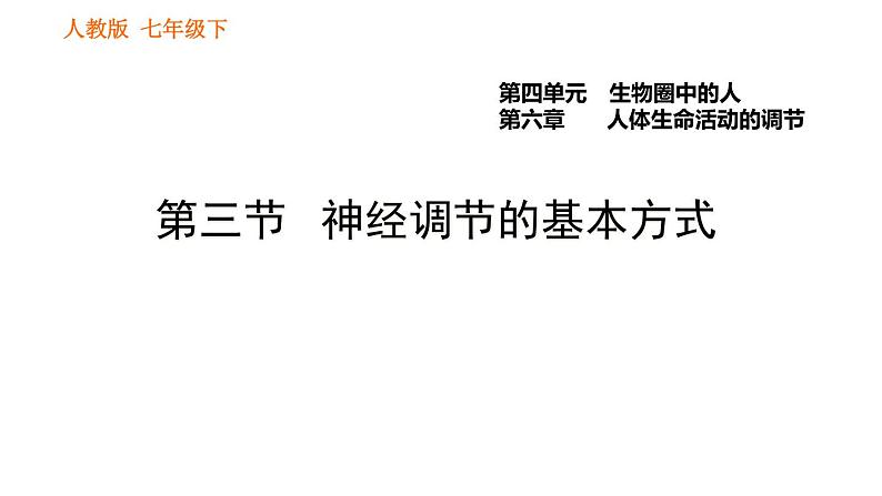 人教版七年级下册生物 4.6.3 神经调节的基本方式 复习课件PPT01