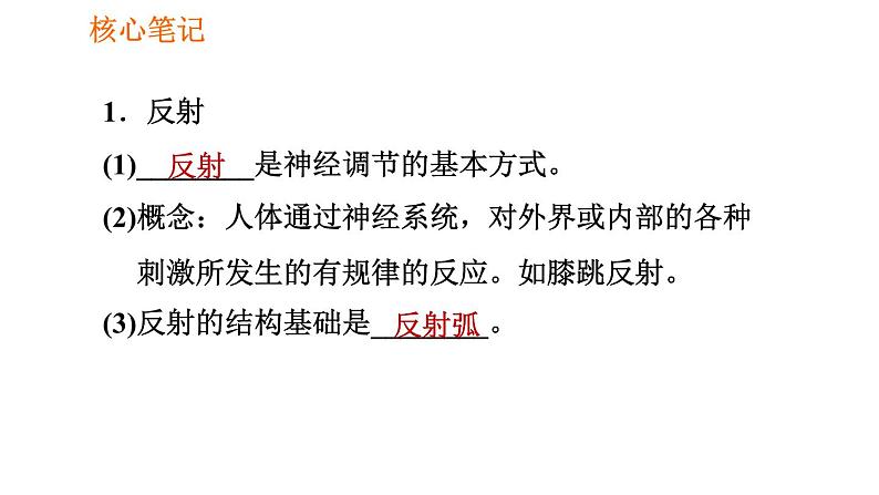 人教版七年级下册生物 4.6.3 神经调节的基本方式 复习课件PPT02