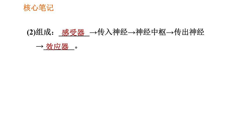 人教版七年级下册生物 4.6.3 神经调节的基本方式 复习课件PPT04