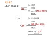 人教版七年级下册生物 4.6.3 神经调节的基本方式 复习课件PPT