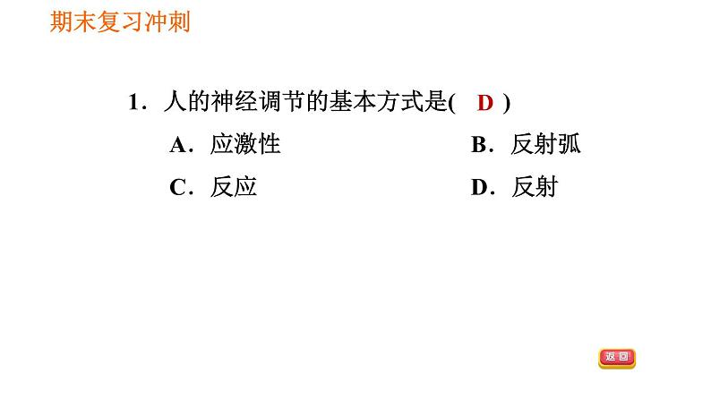 人教版七年级下册生物 4.6.3 神经调节的基本方式 复习课件PPT08