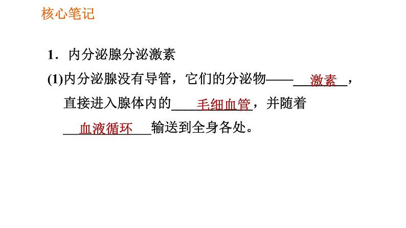 人教版七年级下册生物 4.6.4 激素调节 复习课件PPT02