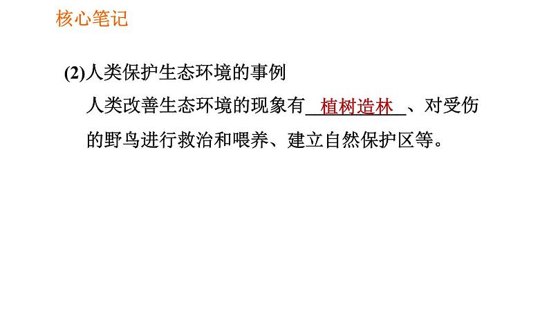 人教版七年级下册生物 4.7.1 分析人类活动对生态环境的影响 复习课件PPT04