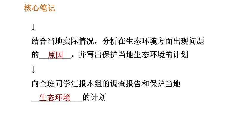 人教版七年级下册生物 4.7.3 拟定保护生态环境的计划 复习课件PPT03