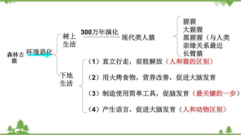 人教版七年级下册生物知识点总结课件02