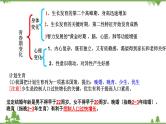 人教版七年级下册生物知识点总结课件