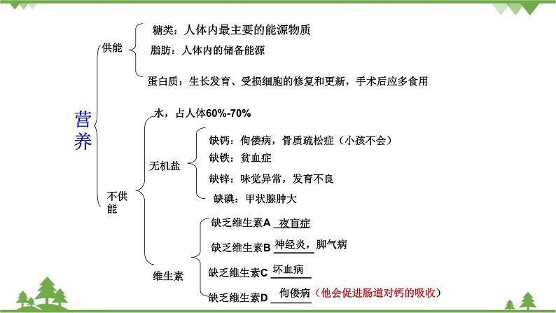 人教版七年级下册生物知识点总结课件06