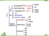 人教版七年级上册生物知识点总结课件