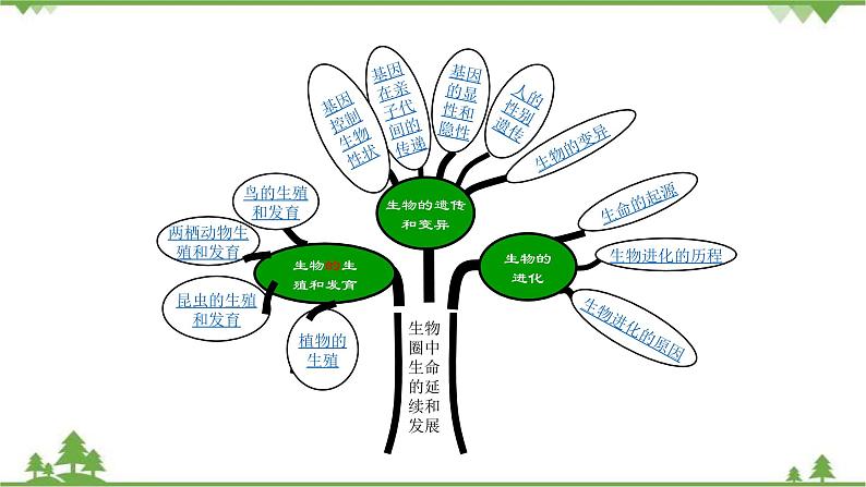 人教版八年级下册生物知识点总结课件02