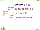 人教版八年级下册生物知识点总结课件