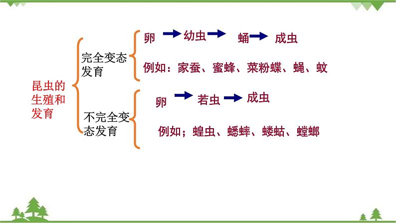 人教版八年级下册生物知识点总结课件04