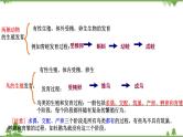 人教版八年级下册生物知识点总结课件