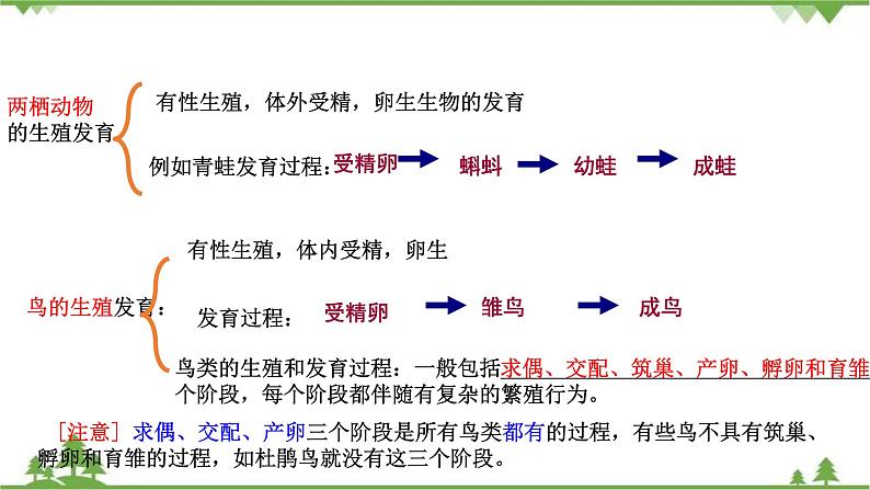 人教版八年级下册生物知识点总结课件05