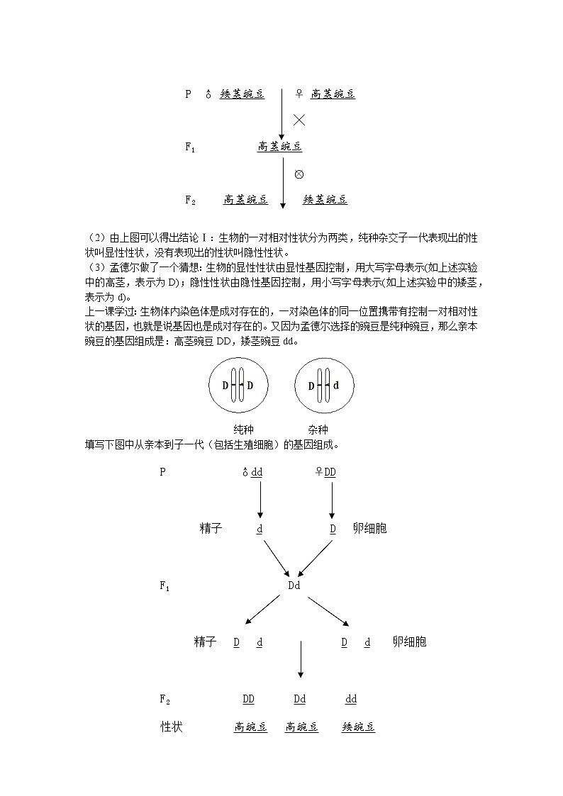 人教版八年级生物下册7.2.3基因的显性与隐性  教案02