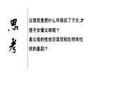 人教版部编八年级下生物7.2.2 基因在亲子代间的传递 精品课件含视频素材