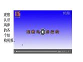 人教版部编八年级下生物7.1.4 鸟的生殖和发育 精品课件含视频素材