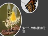 人教版部编八年级下生物7.3.2生物进化的历程精品课件含视频素材