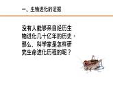 人教版部编八年级下生物7.3.2生物进化的历程精品课件含视频素材