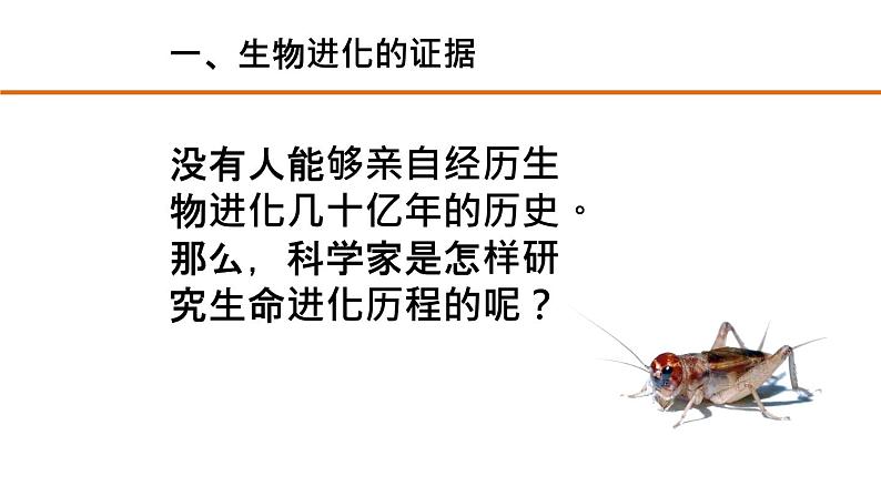 人教版部编八年级下生物7.3.2生物进化的历程精品课件含视频素材03