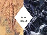 人教版部编八年级下生物7.3.2生物进化的历程精品课件含视频素材
