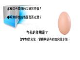 人教版部编八年级下生物7.1.4 鸟的生殖和发育 精品课件含视频素材