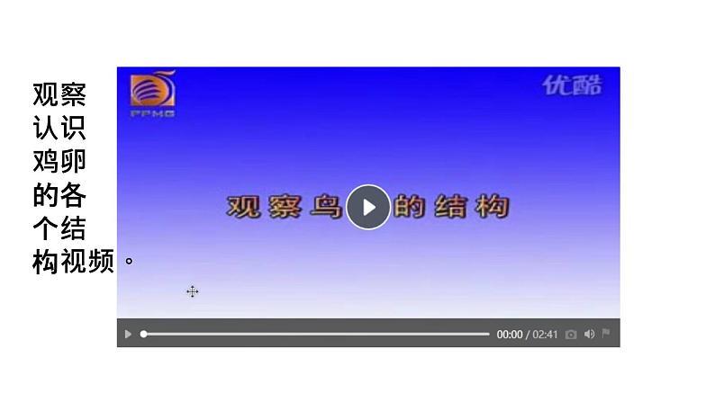 人教版部编八年级下生物7.1.4 鸟的生殖和发育 精品课件含视频素材第5页