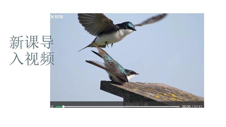 人教版部编八年级下生物7.2.1 基因控制生物的性状精品课件含视频素材02